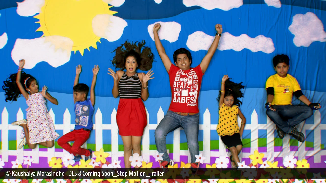 DLS8 Stop Motion